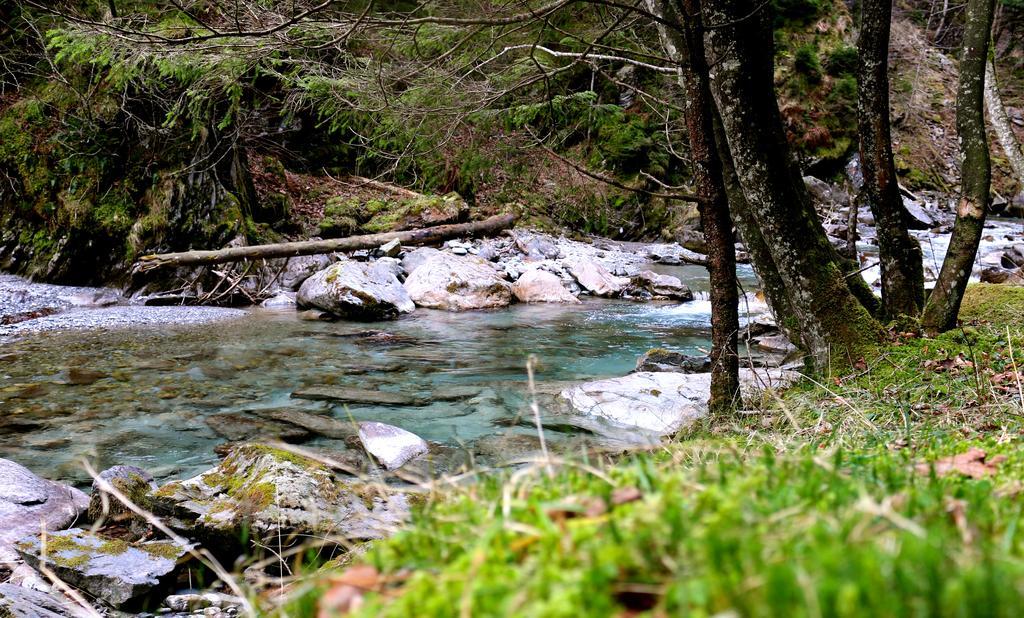 Mountain Lodge Urweider Innertkirchen Dış mekan fotoğraf