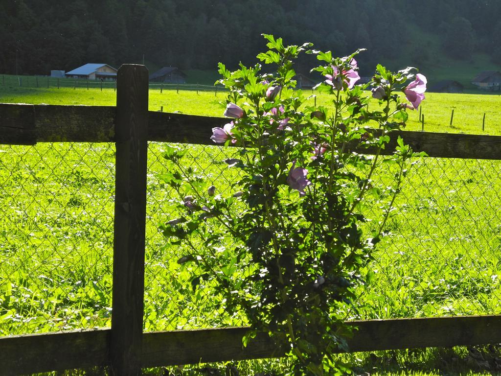 Mountain Lodge Urweider Innertkirchen Dış mekan fotoğraf