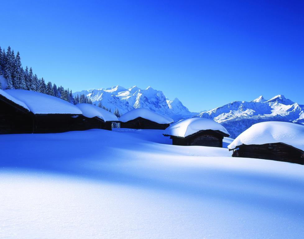 Mountain Lodge Urweider Innertkirchen Dış mekan fotoğraf