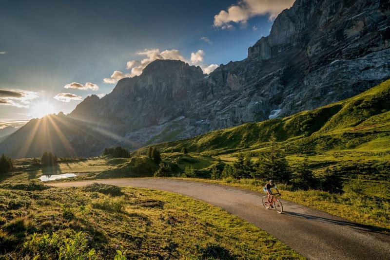 Mountain Lodge Urweider Innertkirchen Dış mekan fotoğraf
