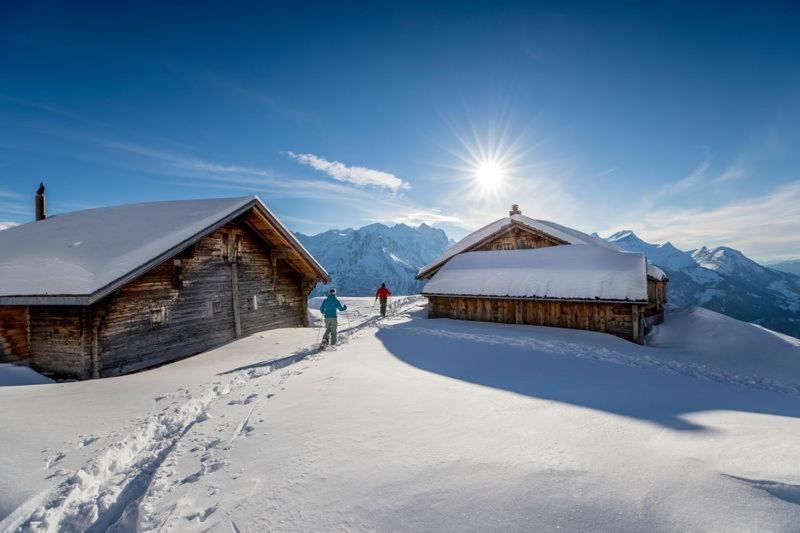 Mountain Lodge Urweider Innertkirchen Dış mekan fotoğraf