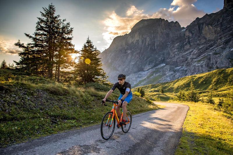 Mountain Lodge Urweider Innertkirchen Dış mekan fotoğraf